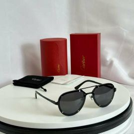 Picture of Cartier Sunglasses _SKUfw55795537fw